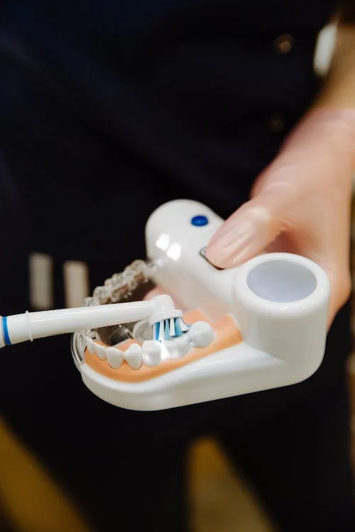 a dental professional showing how to brush teeth properly